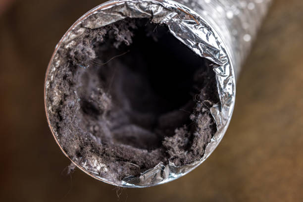 Best HVAC Air Duct Cleaning  in Inwood, FL