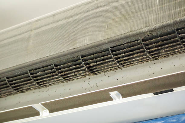 Best Ductwork Cleaning Services  in Inwood, FL